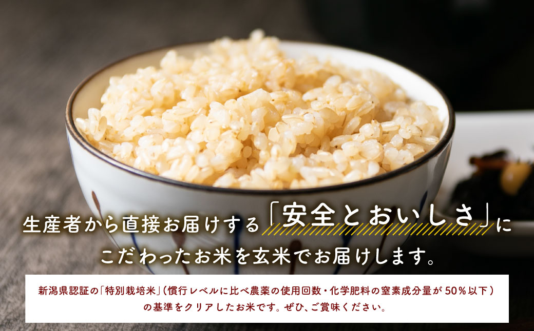 【新米受付・令和7年産米】NAB4019 特別栽培米 新潟県岩船産コシヒカリ玄米 10kg