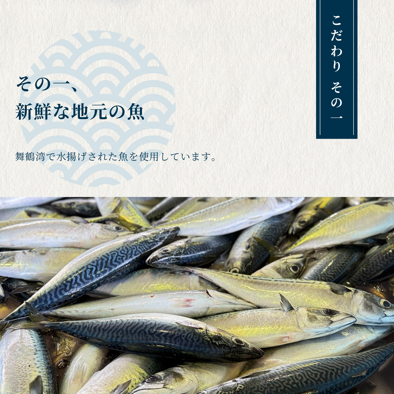 訳あり 舞鶴産 干物 1kg （3種類） お試しセット | ひもの 詰め合わせ 干物 セット お試し 冷凍 規格外 不揃い はつめ かれい うるめいわし みりん干し わけあり ひもの 美味しい