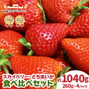 【ふるさと納税】[12月上旬より順次発送]『スカイベリー』＆『とちあいか』食べ比べセット 260g×4パック (粒の大きさお任せ／大粒～中粒厳選)｜日光ストロベリーパーク いちご イチゴ 苺 フルーツ 先行予約 [0450]