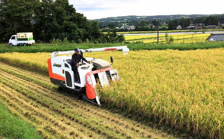 【農家の米こうじ味噌】750g×2パック 自家製の米糀と新潟県産大豆で作りました 味噌 みそ 手作り こうじ 新潟県産  [えちご三四郎] 【010S485】