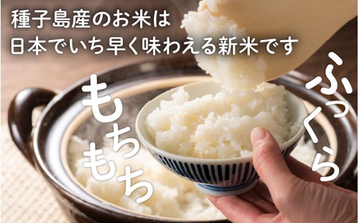 令和8年産 新米 なつほのか コシヒカリ 食べ比べセット 計4kg（2kg×各1袋）  お米 こめ コメ 精米 白米 南種子町 鹿児島 かごしま【株式会社こめこめアイランド】