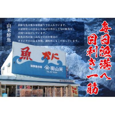 ふるさと納税 香美町 山陰のお魚切身詰め合わせ(冷凍) |  | 02