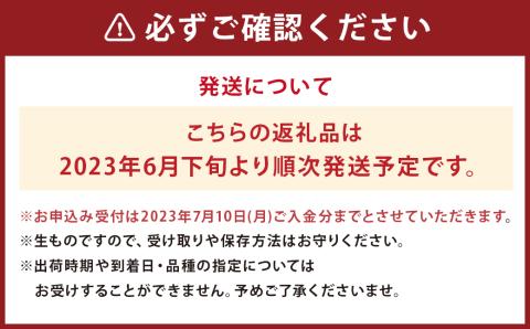 【2023年6月下旬発送開始】桃 約2kg 5～8玉 人吉球磨産