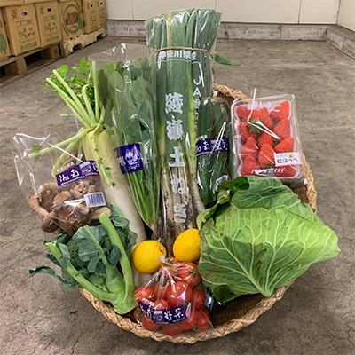 ふるさと納税 藤沢市 【毎月定期便】旬の湘南野菜おまかせセット　10〜12品全3回 |  | 02