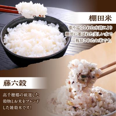 ふるさと納税 高千穂町 濃厚高千穂郷産緑茶のテリーヌと高千穂の恵みを味わうセット |  | 02