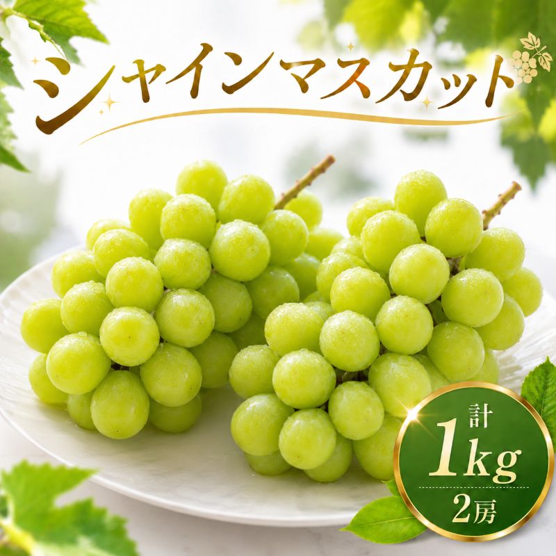 【ふるさと納税】 シャインマスカット 約1kg 鉾田市産シャインマスカット マスカット しゃいんますかっと 大粒 シャインマスカット 茨城県 鉾田市 ぶどう 茨城県産シャインマスカット 贈答 期間限定 先行予約 茨城 鉾田 ほこた