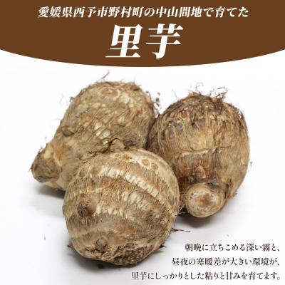 ふるさと納税 西予市 <朝霧育ちのねっとり里芋 約1kg>野菜 やさい さといも |  | 01