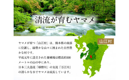 ヤマメ 2kg 山江村ヤマメ生産組合