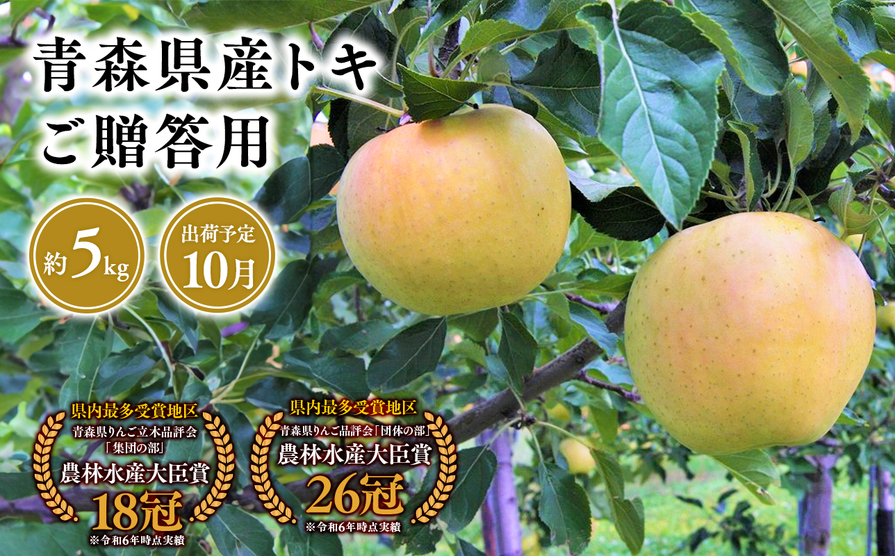 2026年産１０月発送　贈答用トキ5kg【青森県 平川市 そと川りんご園】１０月発送 贈答 青森 青森県産 平川 りんご リンゴ 林檎 くだもの 果物 フルーツ
