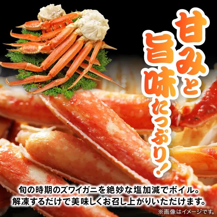 訳アリボイル本ズワイガニ肩 1.3kg【配送不可地域：離島】【1607630】