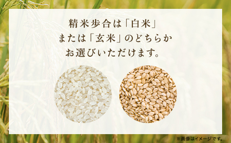 【令和6年新米】＼6か月 定期便／高本さんちのお米 コシヒカリ 5kg×1袋×6ヶ月【白米/玄米】AS2GH2