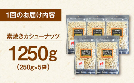 【全6回定期便】素焼きカシューナッツ 250g×5袋 桂川町/株式会社福六 [ADAM058] 無塩カシューナッツ 素焼カシューナッツ 小分けカシューナッツ