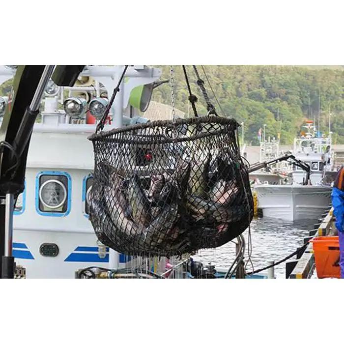 知床羅臼産 鮭　秋味切身セット 約400g×2パック 魚 さけ 国内 北海道