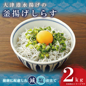 大津港水揚げの釜揚げしらす2kg(1kg×2個)【シラス しらす丼 冷凍 新鮮 海鮮 魚介類  減塩 ご飯のお供 たっぷり 大容量 カルシウム 北茨城市 茨城県】（AS202）
