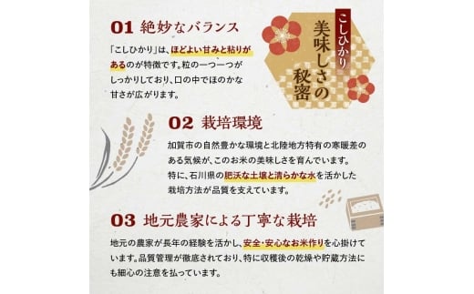 【12月発送】復興応援米 令和7年産こしひかり 5kg 精米 銘柄米 お米 米 ギフト 贈り物 グルメ 食品 復興 震災 コロナ 能登半島地震 復興支援 北陸新幹線 F6P-2921