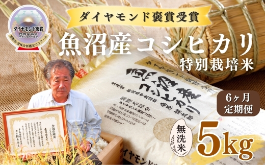 【令和8年産先行予約】【6ヶ月定期便】魚沼産コシヒカリ 無洗米 5kg(5kg×1袋) 特別栽培米 ダイヤモンド褒賞受賞 | 新潟産コシヒカリ 新潟県産コシヒカリ 魚沼産こしひかり 米 お米 こしひかり 白米 無洗米 ブランド米 最高級 新潟県 津南町