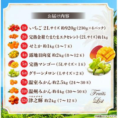 ふるさと納税 宮崎市 【発送月固定定期便】特選!旬のフルーツ9か月定期便Vol.1(上旬発送)全9回 |  | 01