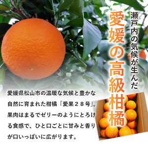 愛媛 みかん 愛果28号 訳あり ご家庭用 2kg あいか 【先行予約 2025年12月上旬から発送】 |  紅まどんな と同品種 柑橘 みかん まどんな ワケアリ 柑橘 みかん 果物  おすすめ 高