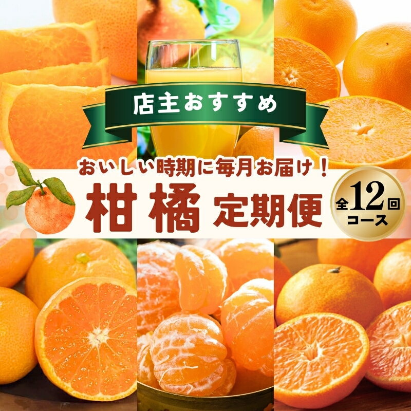 【ふるさと納税】 柑橘 定期便 石本果樹園 店主おすすめの柑橘セットを毎月お届け！【全12回】 / フルーツ 果物 くだもの 柑橘 フルーツ定期便 くだもの定期便 定期便 みかん ミカン 温州みかん せとか カラマンダリン ハウスみかん 産地直送 旬 人気 おすすめ 三重県 紀宝町