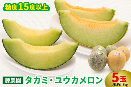 メロン [タカミ] [ユウカ] 5玉セット｜つがる市産 青森産 産直 2026年産 令和8年 夏 めろん 果物 フルーツ 旬 特産 藤農園 農福連携 先行受付 [0963]