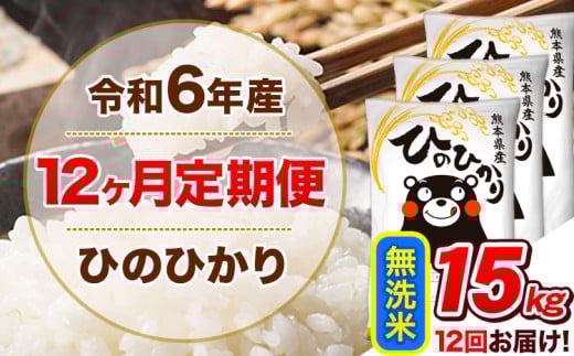 令和6年産【12ヵ月定期便】 無洗米 ひのひかり 定期便 15kg 5kg×3袋《お申込み翌月から出荷開始》 熊本県産 精米 ひの 米 こめ ヒノヒカリ コメ お米