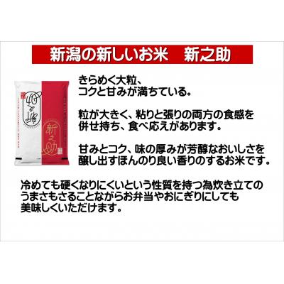 ふるさと納税 阿賀野市 【令和7年産新米】【3回定期便】新潟県産 新之助4kg×3回 計12kg 白米 精米 井上米穀店 |  | 01