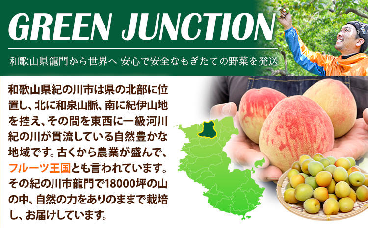 和歌山県産の桃 約1.8kg （5〜8玉） GREEN JUNCTION株式会社《2025年6月中旬-2025年8月末頃出荷》和歌山県 紀の川市 桃 果物 果実 フルーツ 自然栽培 送料無料