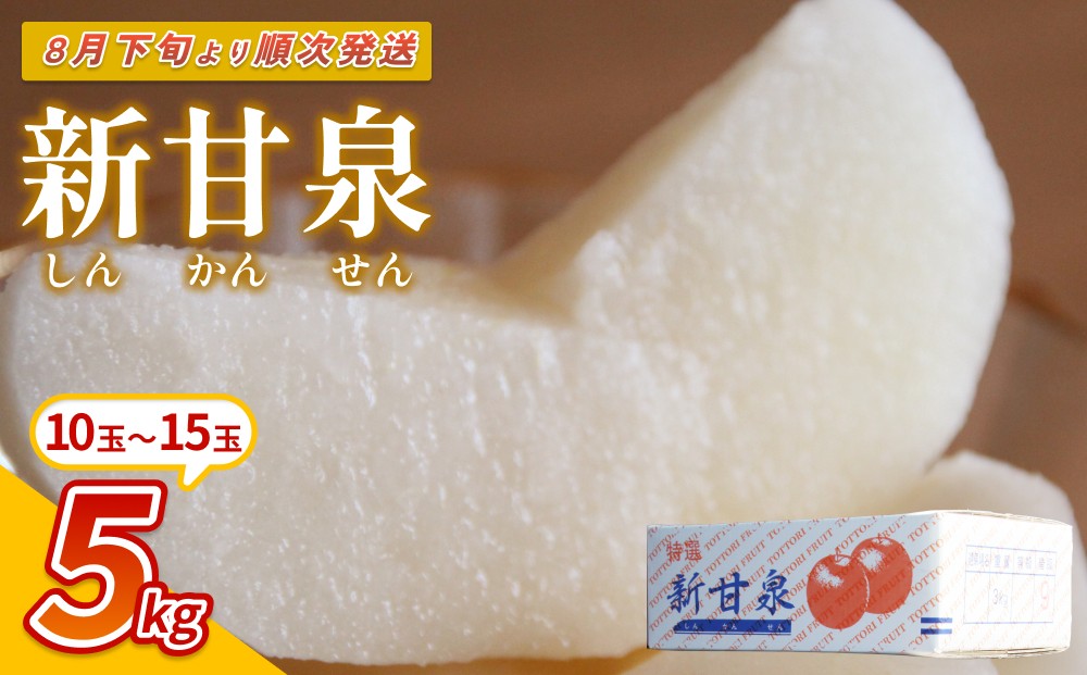 
                  【先行予約】中野農園 梨 ”新甘泉” 5kg箱｜鳥取 岩美 梨 なし ナシ  赤梨 果物 フルーツ 常温 ※お届けは2026年8月下旬以降【41021】
                