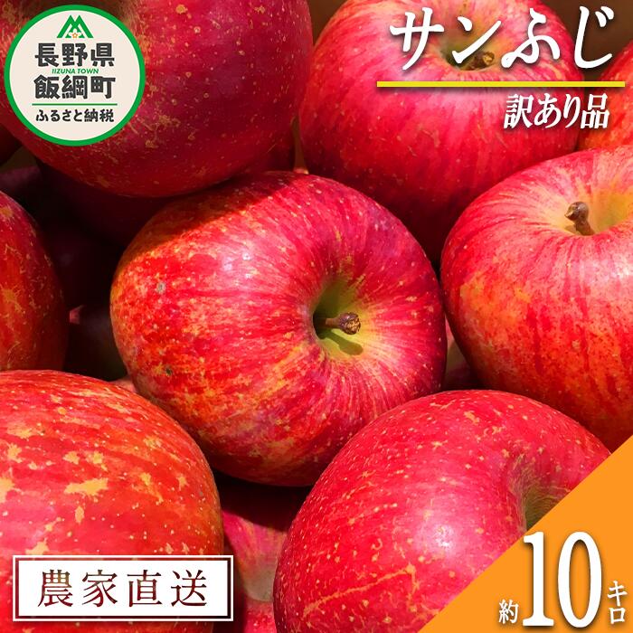 【ふるさと納税】 りんご サンふじ 訳あり 10kg 大垣農園 沖縄県への配送不可 令和7年度収穫分 長野県 飯綱町 〔 傷 不揃い リンゴ 林檎 果物 フルーツ 信州 長野 17000円 予約 農家直送 〕発送時期：2025年11月下旬〜2025年12月下旬 {*}
