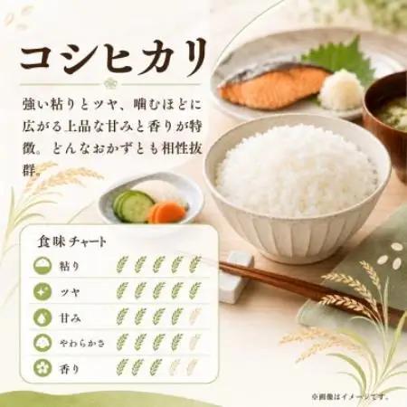 令和8年産 新米 お米屋さんのコシヒカリ 精米 5kg(1袋)【1787837】