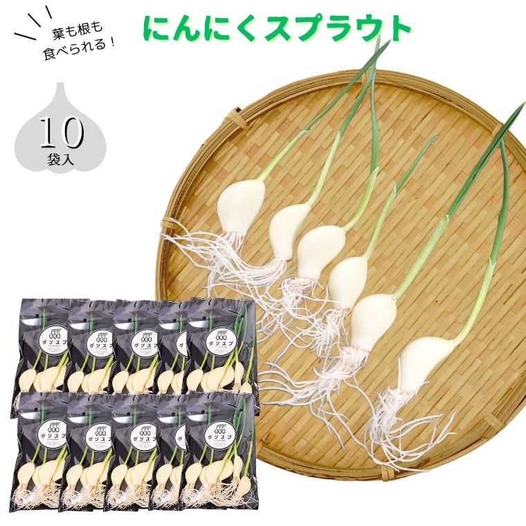 BK001-b にんにくスプラウト10袋セット