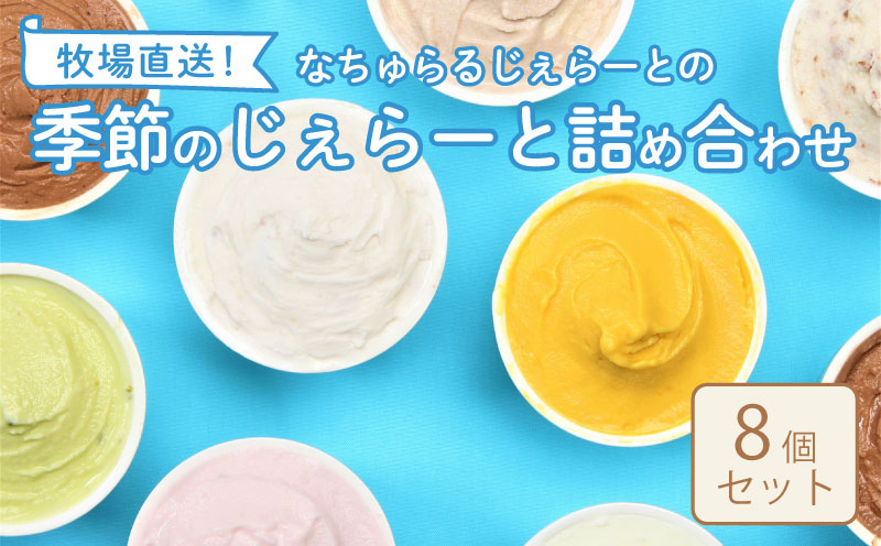 なかの牧場なちゅらるじぇらーとセット ８個入  【 ミルク チョコ ブルーベリー チーズ ピスタチオ 塩 キャラメル アイス ジェラート セット 季節 てづくり なちゅらるじぇらーと なかの牧場 8個 F04_01 】