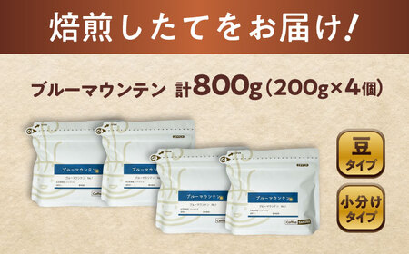 ブルーマウンテンNo.1　コーヒー豆　200g×4個 (豆)  / コーヒー  ドリップ  豆 / 瀬戸市 / Ｃｏｆｆｅｅ　ＳＡＫＵＲＡ[BBAB082]