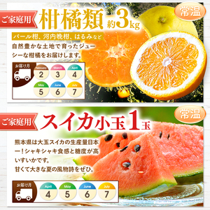 【 定期便 4回 】 3ヵ月毎にお届け！プチっと 堪能 ！ 人気 フルーツ （ いちご 白いちご みかん 不知火 スイカ ぶどう 梨 柿 果物 ）| 果物 くだもの フルーツ 定期 熊本県 玉名市