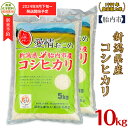 【ふるさと納税】令和6年 米 10kg 5kg×2袋 新潟こしひかり 白米 16-K101新潟県胎内市産コシヒカリ10kg（5kg×2袋）