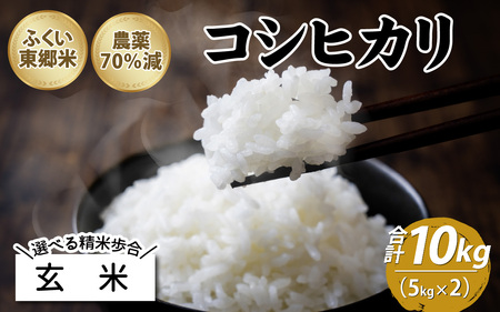 【玄米】令和5年産 ふくい東郷米 特別栽培米 農薬70％減 コシヒカリ 10kg 　5kg×２袋　[B-020027_02]