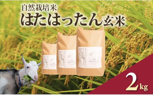 先行予約 新米 はたはったん 玄米 2kg 自然栽培米 令和7年産 選べる 容量 数量限定 銘柄米 あっさり 甘み おすすめ 先行 予約 米 こめ おこめ ライス 5kg 自然栽培 石川県産 羽咋産 能登産 石川 羽咋 能登 のと メへヘ農園