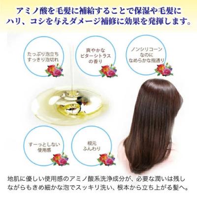 ふるさと納税 糸島市 【5本入】[薬用]利尻頭皮コンディショナー[医薬部外品]糸島市/株式会社ピュール[AZA096] |  | 01