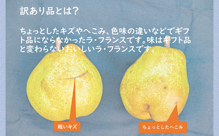 【令和6年産先行予約】 〈訳あり品 家庭用〉 ちょっと訳あり ラ・フランス 約5kg (14～18玉 2～4L) 《令和6年11月～発送》 『たけひさ農園』 ラフランス 西洋梨 洋なし 果物 フルーツ