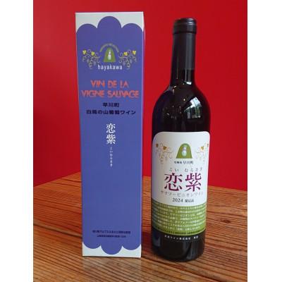ふるさと納税 早川町 山葡萄ワイン「恋紫2024」750ml×2本