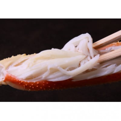 『鳥取の冬の味覚の王者』(ボイル)松葉がに　2枚　【年内配送】【配送不可地域：離島・北海道・沖縄県・東北・関東・信越、北陸・東海・九州】