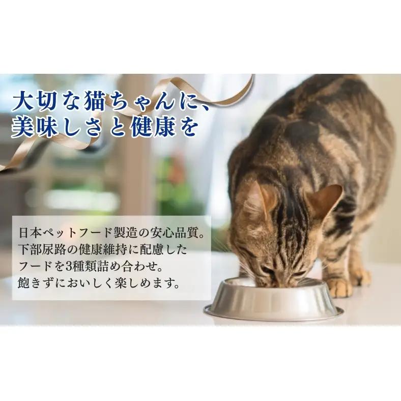 《ペットフード》日本ペットフード コンボ キャット 下部尿路の健康維持アソート 600g(120g×5袋入) ×12袋(ケース)