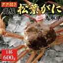 【ふるさと納税】【2024年内発送】特撰　松葉がに（なま）【タグ付き】600g超の大きいサイズ　食べ応えあり　1杯 | 蟹 魚介類 水産 食品 人気 おすすめ 送料無料