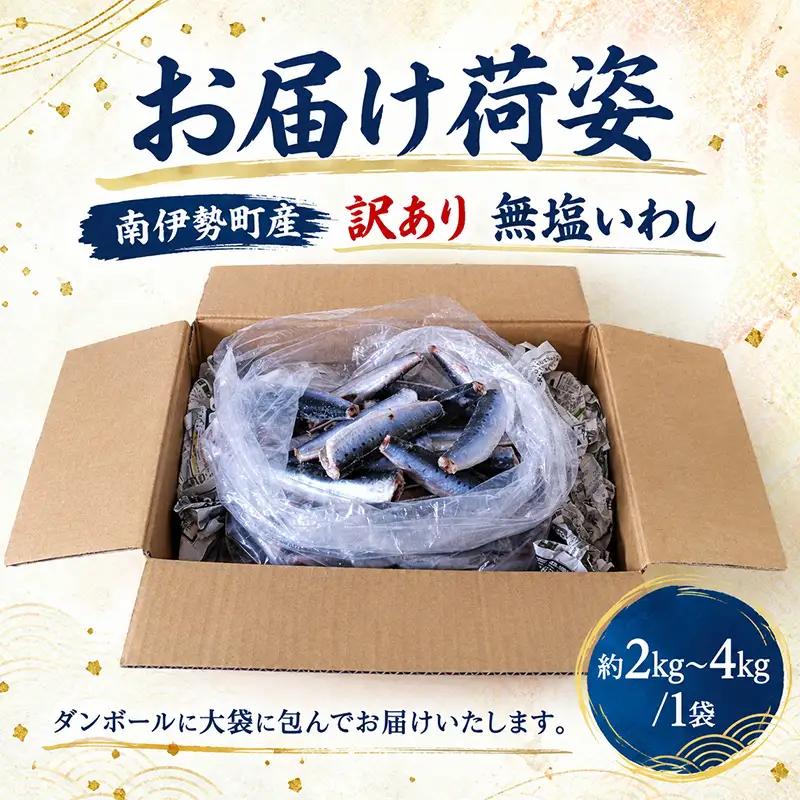 鰯 いわし 約4kg 訳あり 無塩 鰯 南伊勢町
