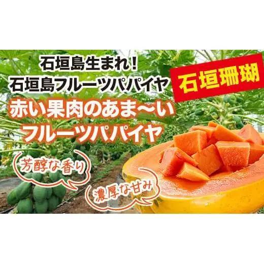 フルーツパパイヤ 3kg