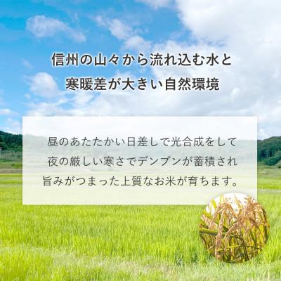 ふるさと納税 飯綱町 【飯綱町産】コシヒカリ 5kg 玄米 |  | 02