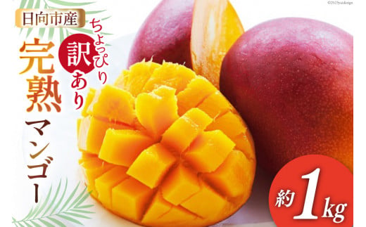【2027年夏発送】 訳あり 宮崎 完熟 マンゴー 約 1kg [宮崎県農業協同組合日向地区本部（販売課） 宮崎県 日向市 452060659] 果物 フルーツ 規格外 家庭用 完熟マンゴー 甘い 日向 期間限定 冷蔵