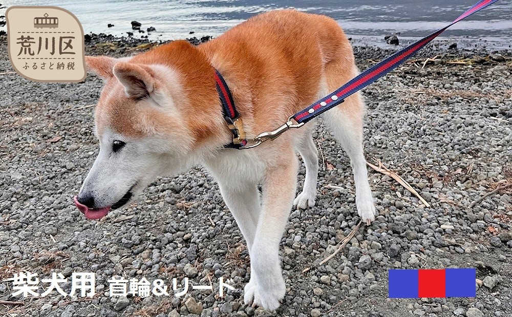 
柴犬用カラー（首輪）＆リード(カラー：紺・赤・紺)
