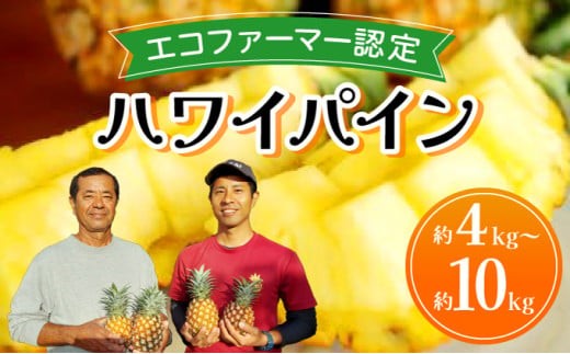 
                  【数量が選べる】《2026年先行予約》ハワイパイン約4～10kg 【お届け：2026年6月中旬〜7月下旬】【農園ファイミール 完熟 果物 フルーツ パイン パイナップル】
                