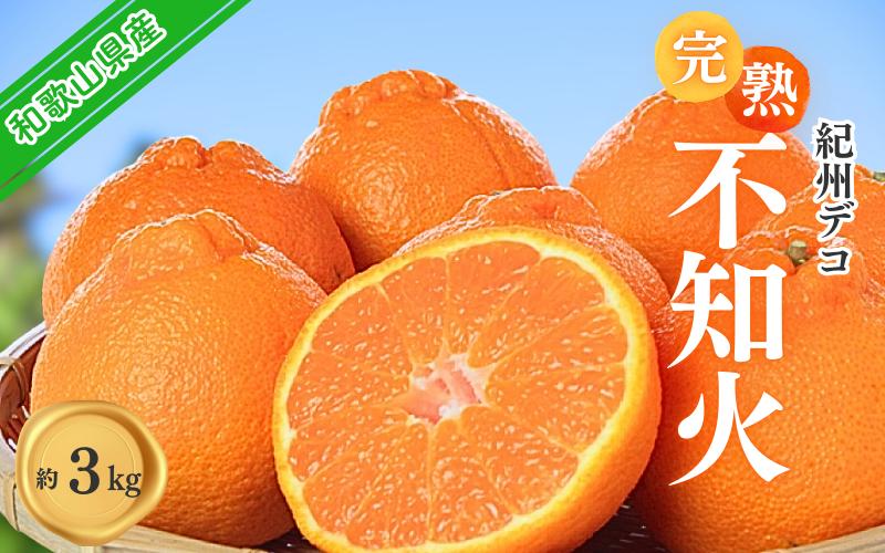 
            果肉プリプリ♪　完熟紀州デコ(不知火) 約3kg デコポンと同品種 ＜2026年2月下旬頃〜2026年3月中旬頃発送＞ / 不知火 しらぬい デコポン みかん 柑橘 フルーツ 果物 和歌山県産【uot706A】
          